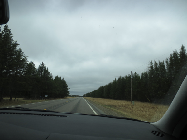 trees and trees and trees and trees and trees...